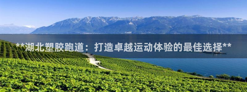 百度红足一1是为什么：**湖北塑胶跑道：打造卓越运动体验的最佳选择**