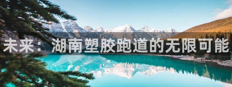 红足一1世手机版新皇冠：未来：湖南塑胶跑道的无限可能