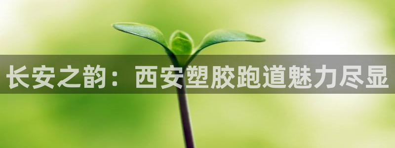 红足一丰：长安之韵：西安塑胶跑道魅力尽显