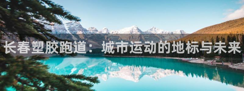 红足1世手机板：长春塑胶跑道：城市运动的地标与未来