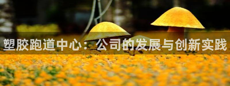 红足一1世皇冠地址：塑胶跑道中心：公司的发展与创新实践