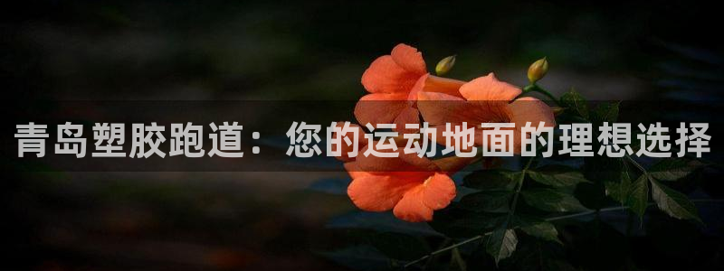 77814红足1世：青岛塑胶跑道：您的运动地面的理想选择