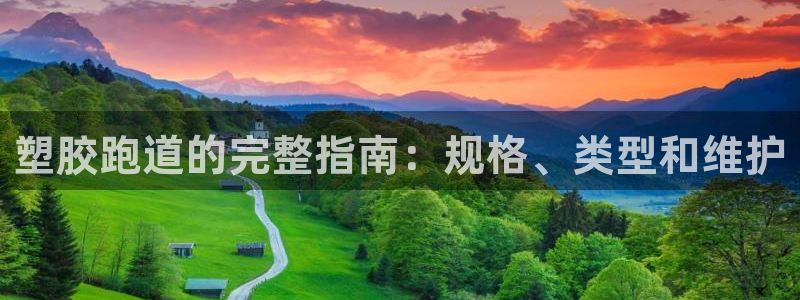 红足1世足球网址大全：塑胶跑道的完整指南：规格、类型和维护