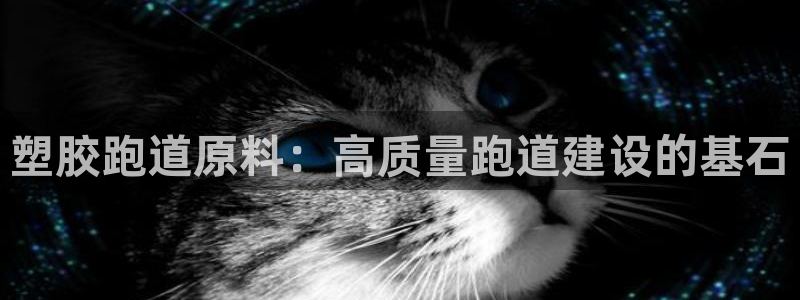 红足一1世官网足球推荐真人：塑胶跑道原料：高质量跑道建设的基石