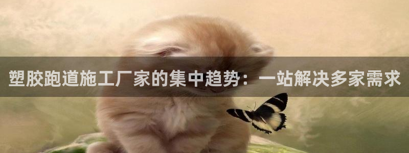 红足一1世666814最新结果：塑胶跑道施工厂家的集中趋势：一站解决多家需求