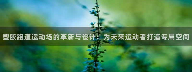 红足一生世：塑胶跑道运动场的革新与设计：为未来运动者打造专属空间