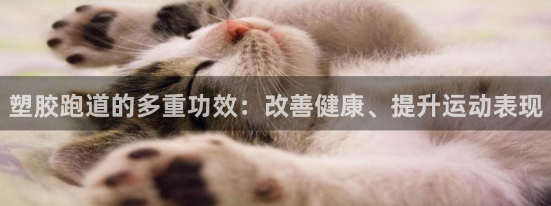 红足1一世：塑胶跑道的多重功效：改善健康、提升运动表现