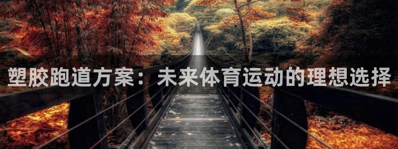 红足i世足球手机网：塑胶跑道方案：未来体育运动的理想选择