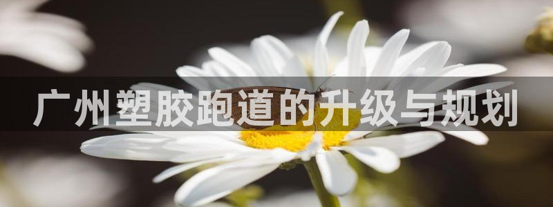 红足一1世77814：广州塑胶跑道的升级与规划