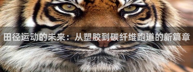 红足体育网：田径运动的未来：从塑胶到碳纤维跑道的新篇章