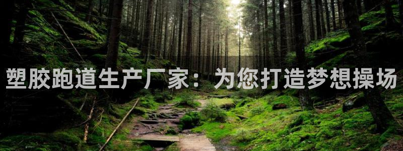 红足i世足球手机网：塑胶跑道生产厂家：为您打造梦想操场