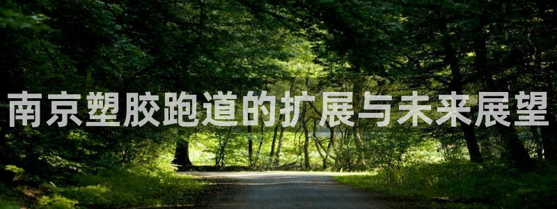 红足1一世红：南京塑胶跑道的扩展与未来展望