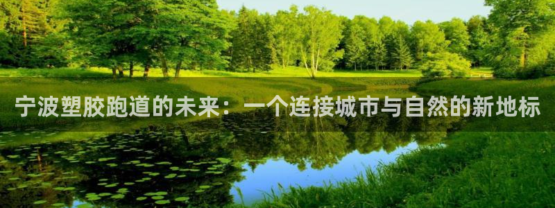百度红足一1是为什么：宁波塑胶跑道的未来：一个连接城市与自然的新地标