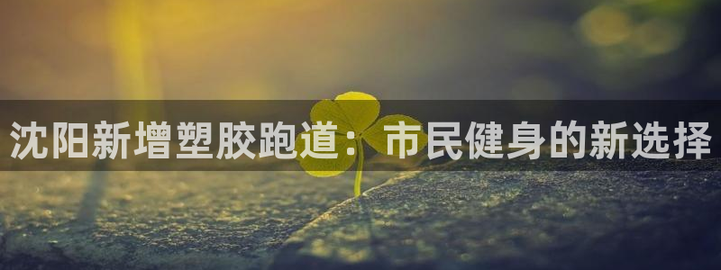 红足一1世开奖记录：沈阳新增塑胶跑道：市民健身的新选择