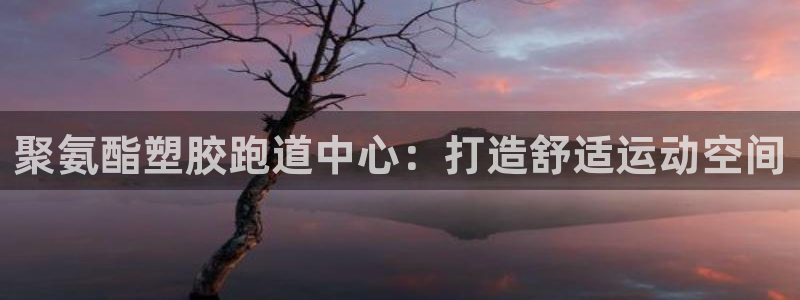 红足一1世比分球探：聚氨酯塑胶跑道中心：打造舒适运动空间