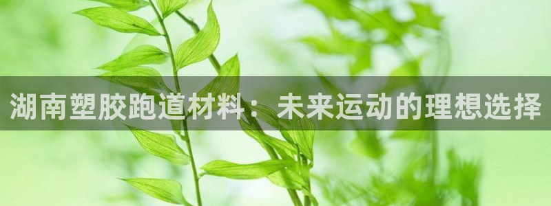红足1一世红：湖南塑胶跑道材料：未来运动的理想选择