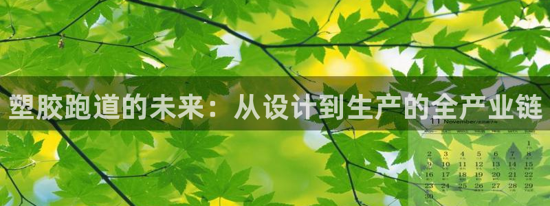 66814红足一66814世：塑胶跑道的未来：从设计到生产的全产业链
