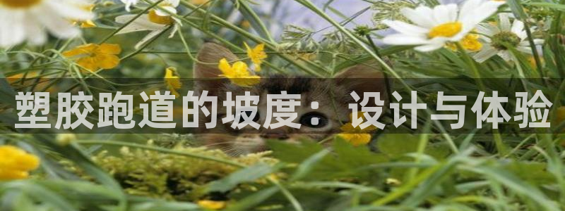 新2足球平台出租网站：塑胶跑道的坡度：设计与体验