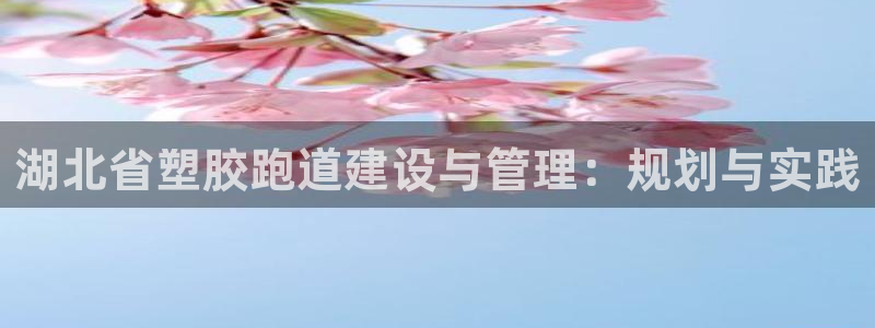 777814红·足一世比分篮球：湖北省塑胶跑道建设与管理：规划与实践