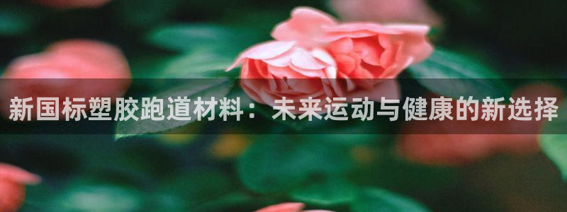 红足1世手足球比分：新国标塑胶跑道材料：未来运动与健康的新选择