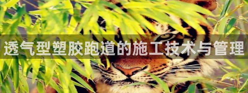 77814红足1世：透气型塑胶跑道的施工技术与管理