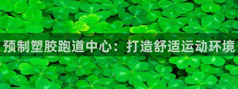 红足 世足球手机网：预制塑胶跑道中心：打造舒适运动环境