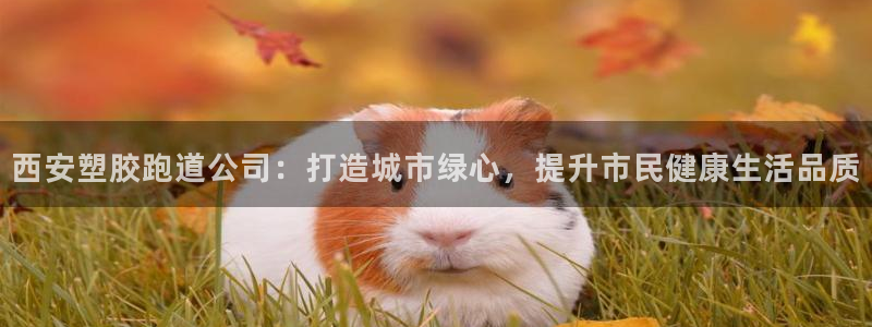 红足一1世平台：西安塑胶跑道公司：打造城市绿心，提升市民健康生活品质