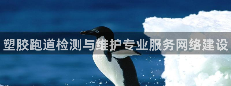 红足一1世手机开奖：塑胶跑道检测与维护专业服务网络建设