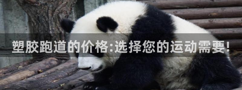 红足一生世：塑胶跑道的价格:选择您的运动需要!