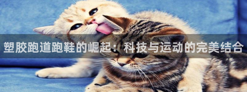 红足一一世足球网开奖记录：塑胶跑道跑鞋的崛起：科技与运动的完美结合