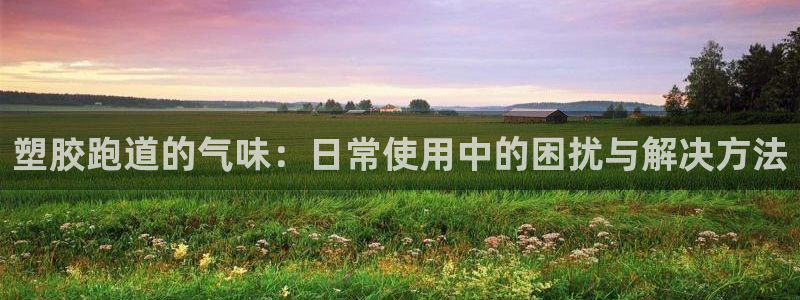 红足一1世66814：塑胶跑道的气味：日常使用中的困扰与解决方法
