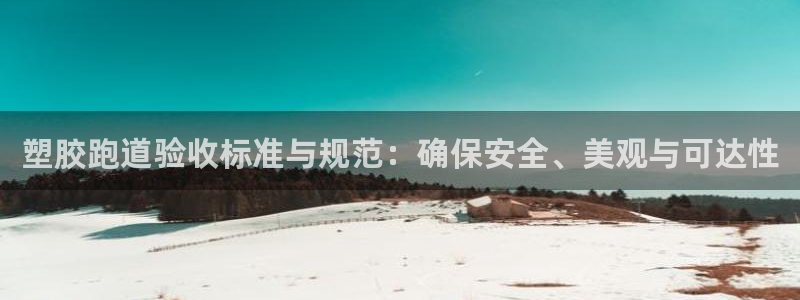 红足1世足球：塑胶跑道验收标准与规范：确保安全、美观与可达性