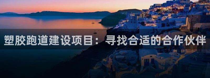 44814红足：塑胶跑道建设项目：寻找合适的合作伙伴