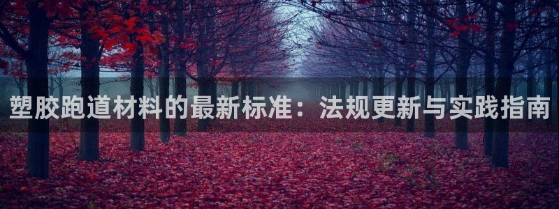红足1世手机板：塑胶跑道材料的最新标准：法规更新与实践指南