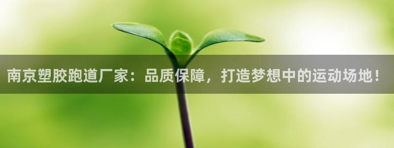 333814红足1世：南京塑胶跑道厂家：品质保障，打造梦想中的运动场地！