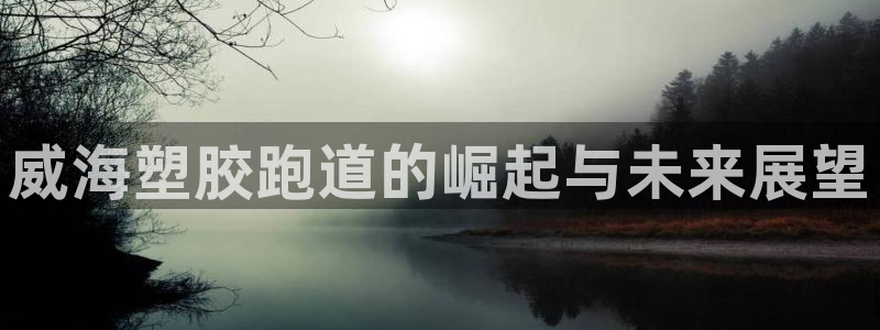 红足1世足球：威海塑胶跑道的崛起与未来展望