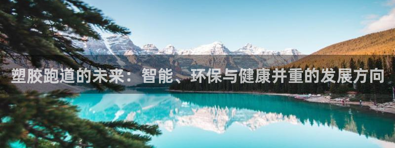 666814红·足一世比分：塑胶跑道的未来：智能、环保与健康并重的发展方向
