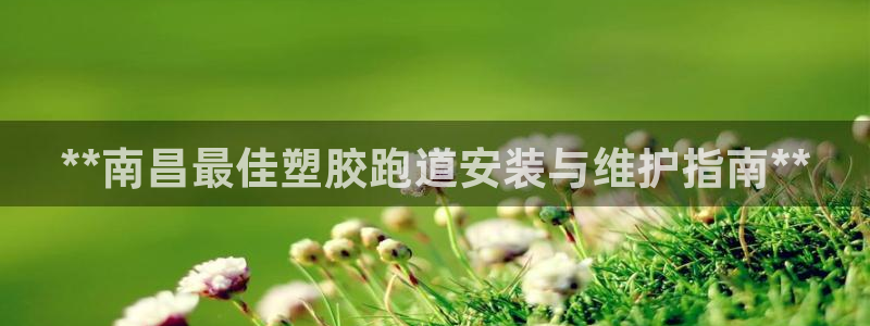 红足1世足球比分：**南昌最佳塑胶跑道安装与维护指南**