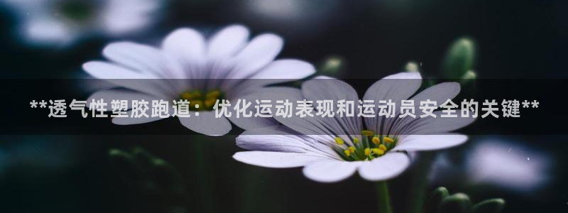 红足一1世即时比分：**透气性塑胶跑道：优化运动表现和运动员安全的关键**