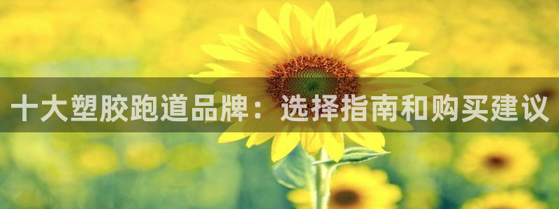 777814红·足一世比分：十大塑胶跑道品牌：选择指南和购买建议