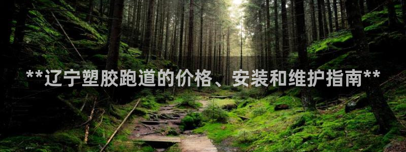 百度红足一1是干什么的：**辽宁塑胶跑道的价格、安装和维护指南**