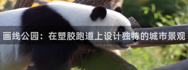 红足1一世足球手机：画线公园：在塑胶跑道上设计独特的城市景观