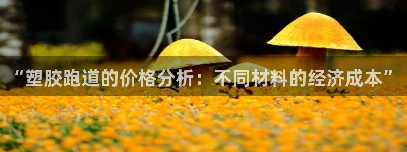 红足1世足球：“塑胶跑道的价格分析：不同材料的经济成本”