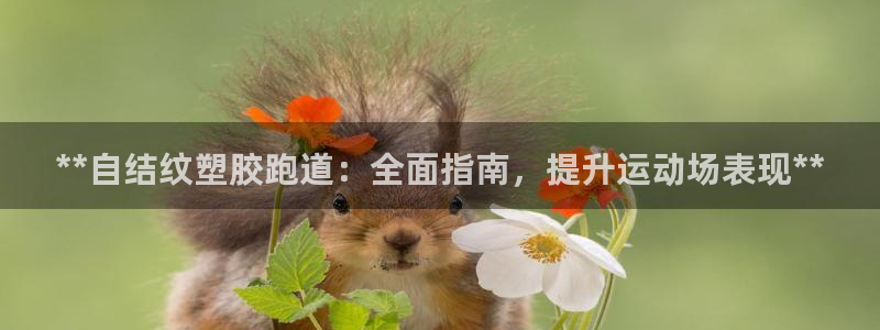 红足1世手机下载：**自结纹塑胶跑道：全面指南，提升运动场表现**