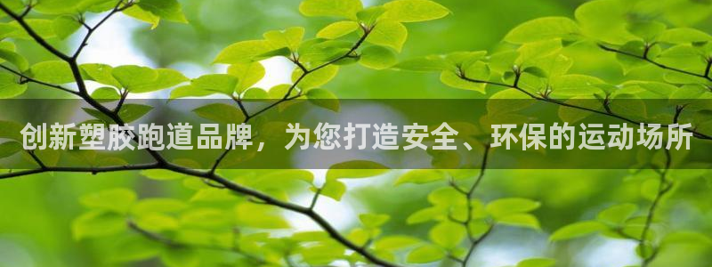 红足一丰：创新塑胶跑道品牌，为您打造安全、环保的运动场所