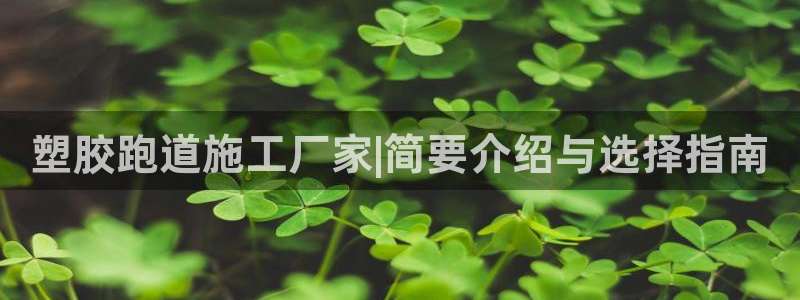 55814红足1世：塑胶跑道施工厂家|简要介绍与选择指南