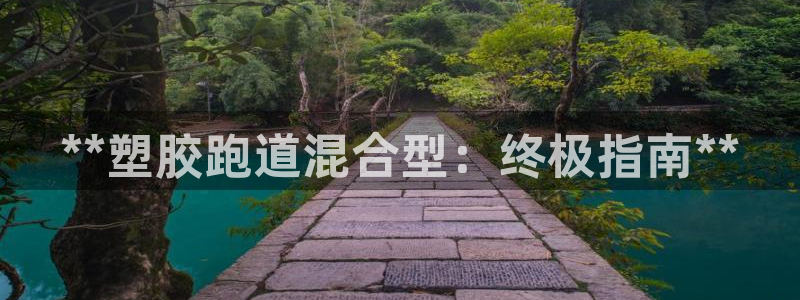 红足1世足球：**塑胶跑道混合型：终极指南**