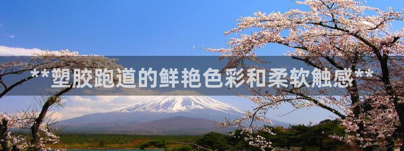 红足一1世平台：**塑胶跑道的鲜艳色彩和柔软触感**