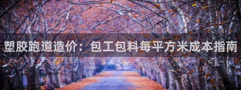 百度红足一1使用说明：塑胶跑道造价：包工包料每平方米成本指南