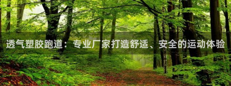 333814红足1世:透气塑胶跑道:专业厂家打造舒适、安全的运动体验